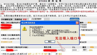 新網(wǎng)域名解析內(nèi)網(wǎng)端口設(shè)置指南